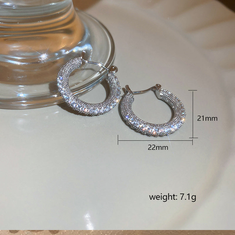 Women's Zircon Geometric Circle Earrings