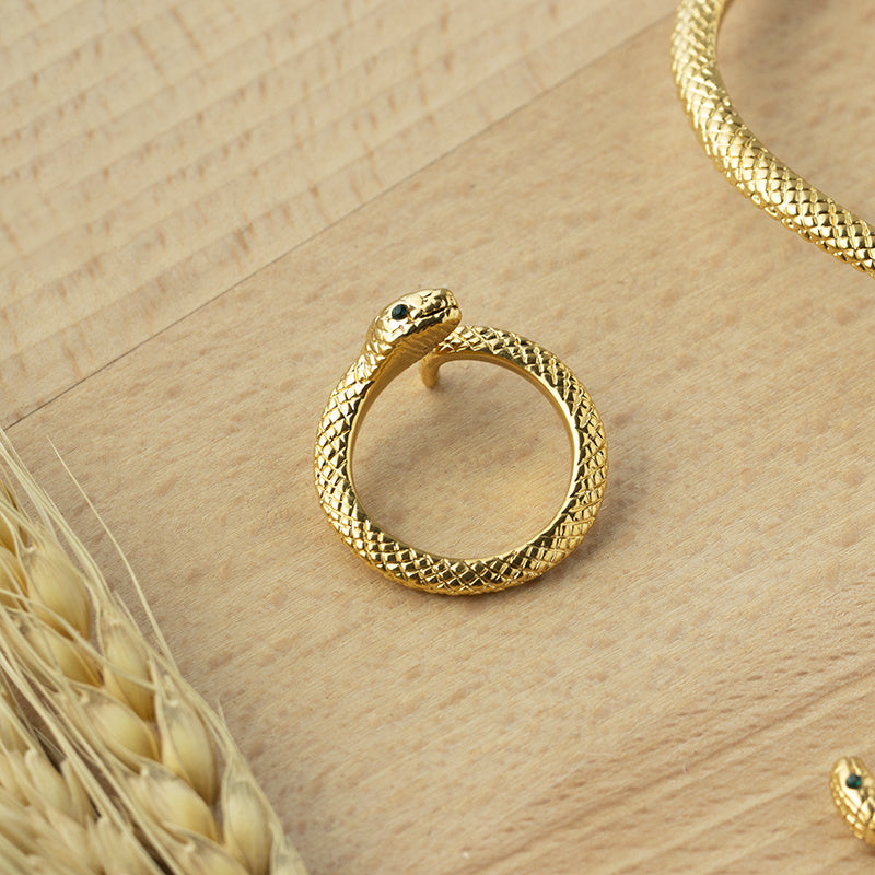 Lady Snake Earrings Bracelet Ring Vacuum